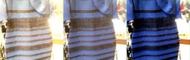 What color do you see?