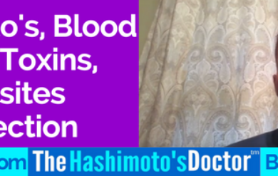 Hashimoto's, Blood Sugar, Toxins, Parasites Connection