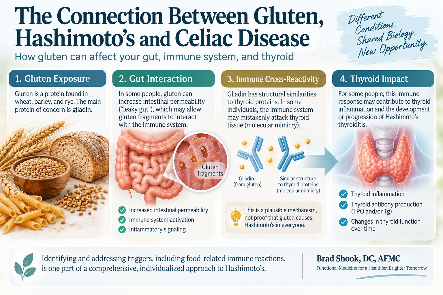 Four-part evaluation separating celiac disease, wheat allergy, broader wheat immune reactivity, and cross-reactive foods