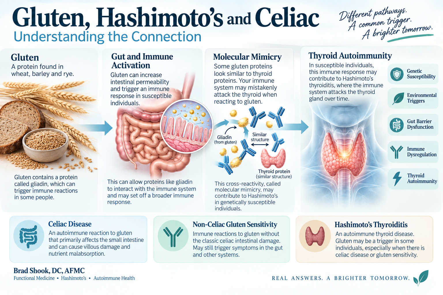 Four food categories separating gluten exposure, possible antibody cross-reactivity, substitute foods, and separate food reactions