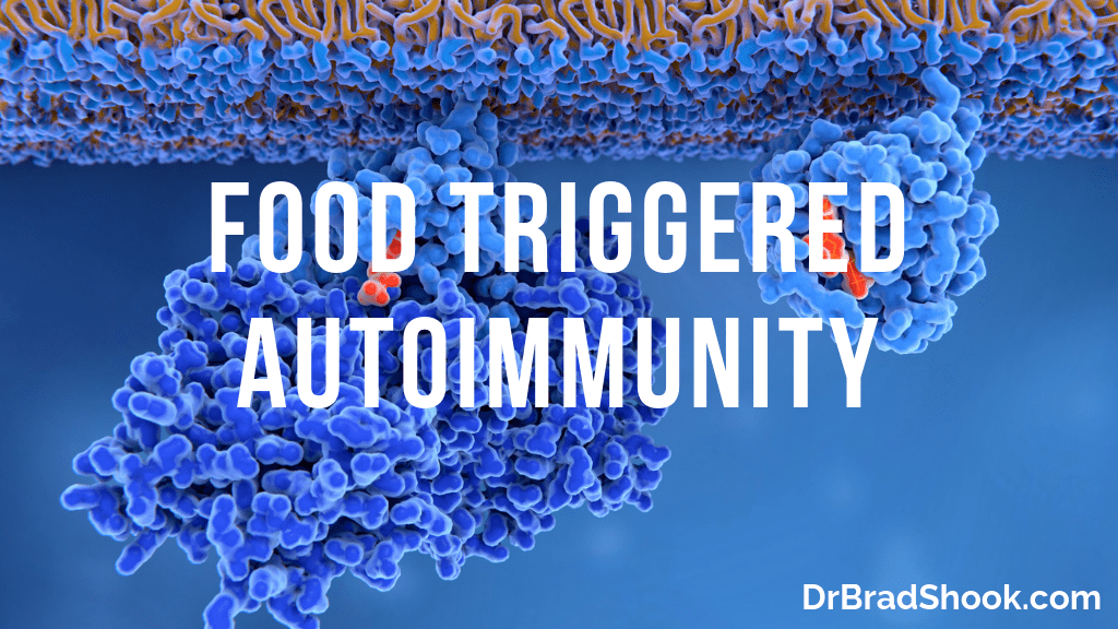 Food Triggered Autoimmunity best for hashimoto's thyroiditis diet Autoimmune Disease Triggered Autoimmune Thyroid DIsorders Importance of Food Sensitivities