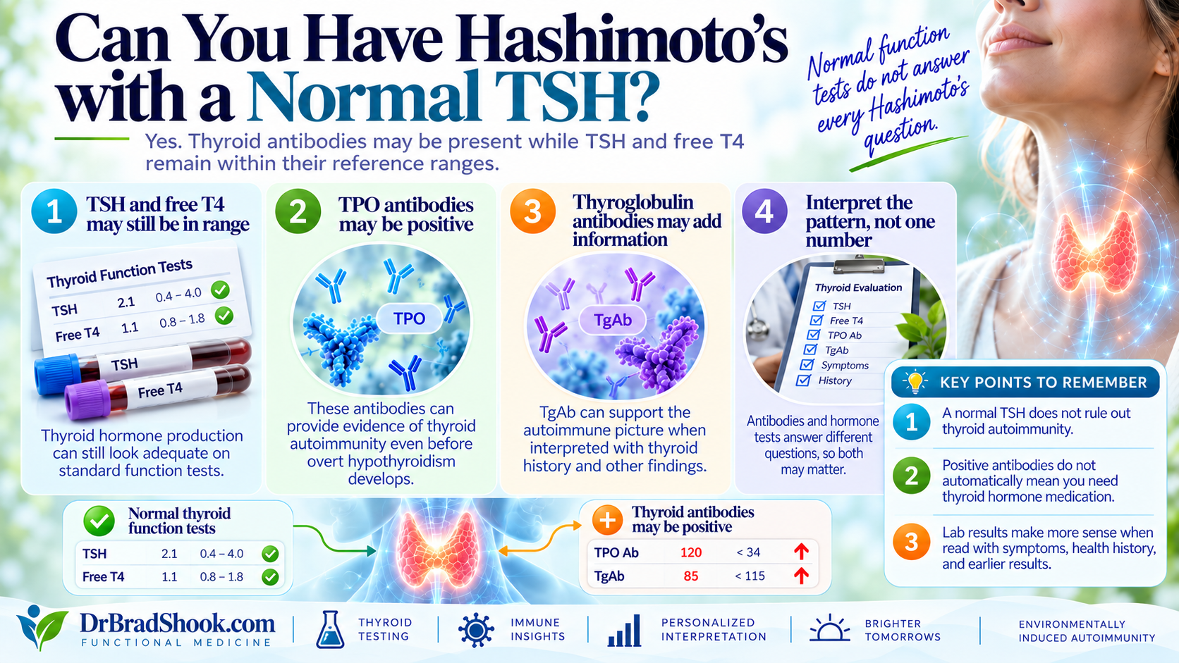 Illustration showing thyroid antibodies present while TSH and free T4 remain within their reference ranges