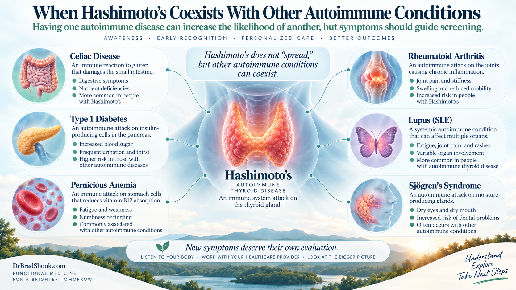 Screening discussion for autoimmune conditions that can coexist with Hashimoto's disease