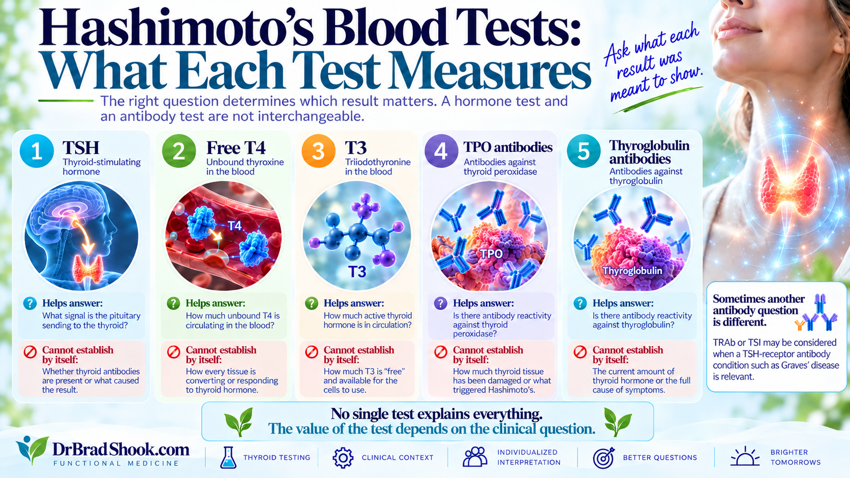 Guide distinguishing TSH and T4 thyroid function tests, T3 testing, and TPO and thyroglobulin antibodies