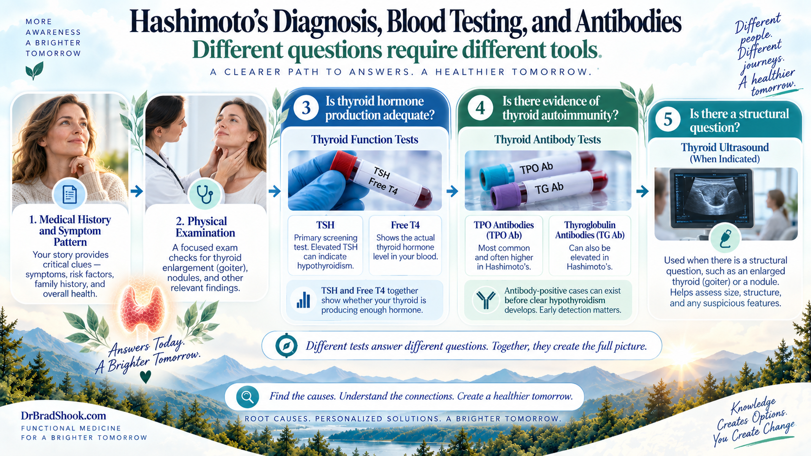 Hashimoto's diagnosis pathway using history, examination, TSH, free T4, thyroid antibodies, and selective imaging