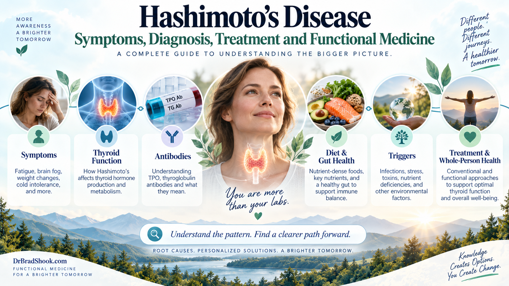 Illustrated guide to Hashimoto's disease, thyroid function, immune activity, and whole-person health
