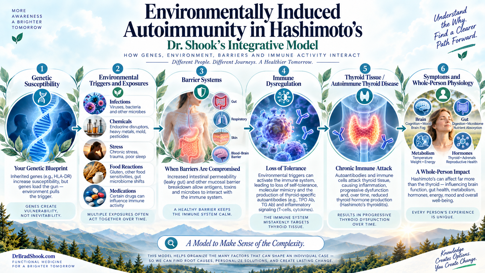 Environmentally Induced Autoimmunity model connecting susceptibility, triggers, barriers, immune activity, and thyroid health