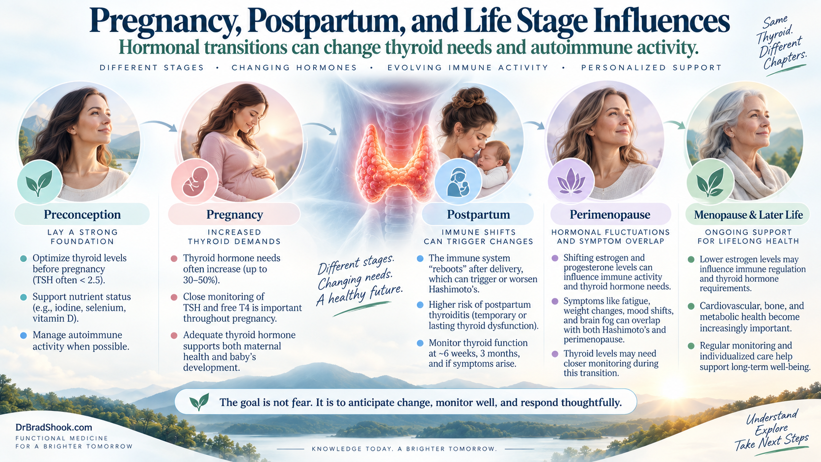 Pregnancy and postpartum life stages that can influence Hashimoto's risk and thyroid function