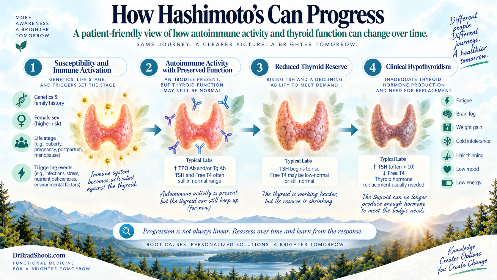 Timeline showing possible progression from thyroid autoimmunity to reduced thyroid hormone production