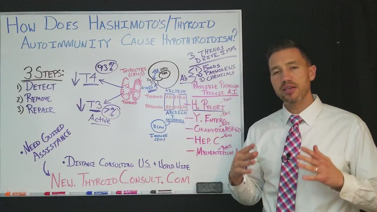 how-does-hashimoto-s-disease-cause-hypothyroidism-the-office-of-dr