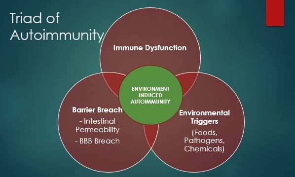 Functional Medicine for Psoriasis Autoimmune Factors Causes of Psoriasis Autoimmunity Functional Medicine