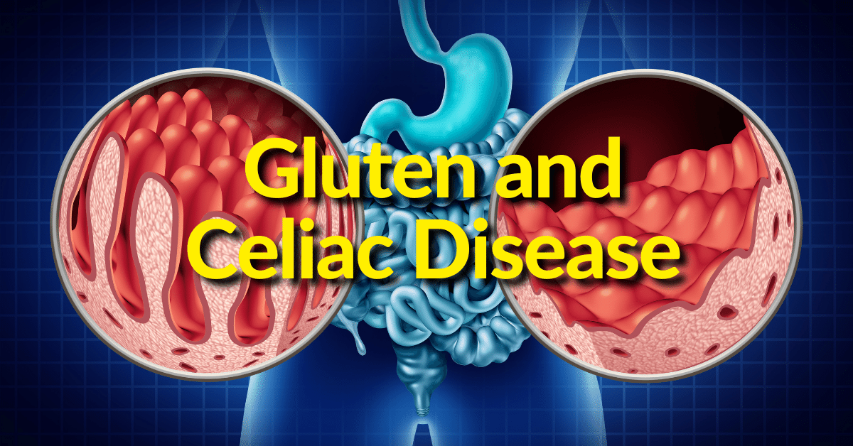 Thyroid Gland, Thyroid Disease, Gluten Sensitivity, and Celiac Disease