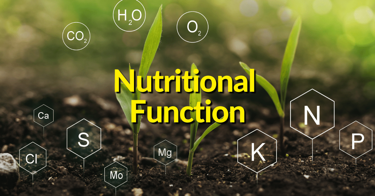 Nutritional assessment helps to identify nutrient deficiencies that may be contributing to particular health problems. 