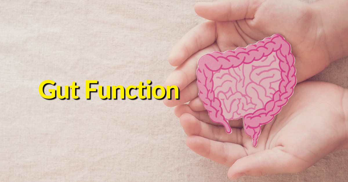 Common gastrointestinal symptoms indicate a need to test gut function. 