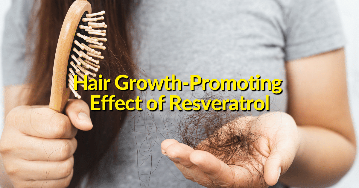 Can resveratrol help you grow hair? Studies suggest that some natural sources of resveratrol can improve your immune system, mental health inflammatory responses and improve the hair follicle.