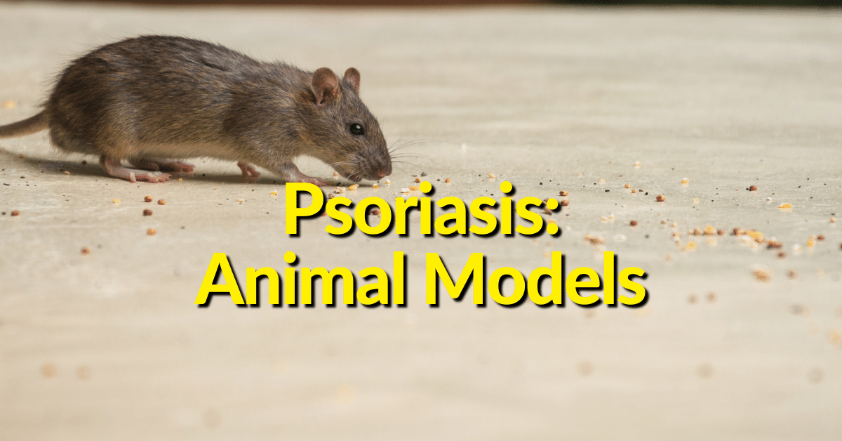 Animal models when studying psoriasis, psoriatic arthritis and other autoimmune diseases help scientists determine how genetic factors play a role in disease susceptibility and psoriasis susceptibility.  