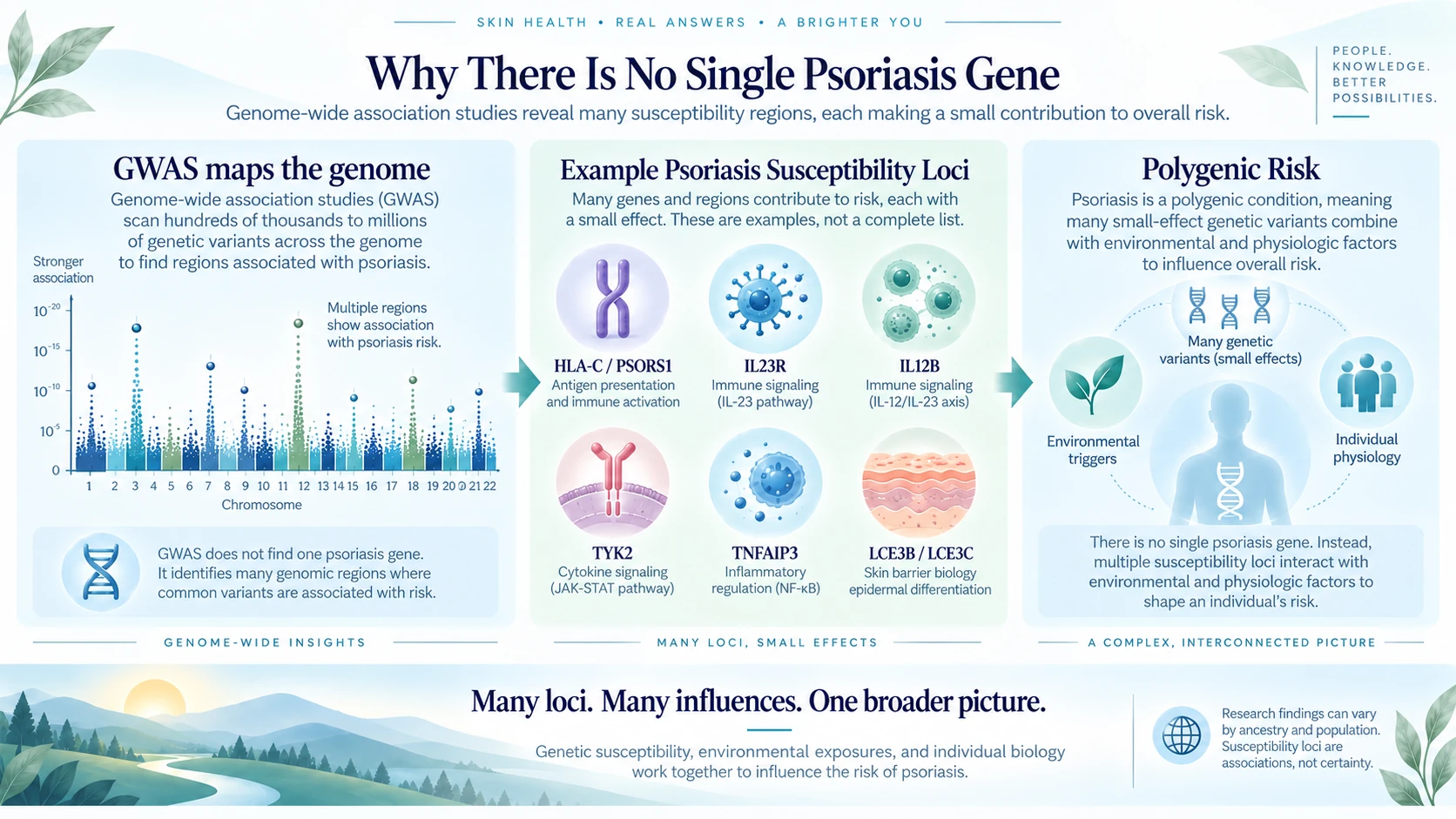 Genome-wide association study concept mapping many psoriasis susceptibility regions