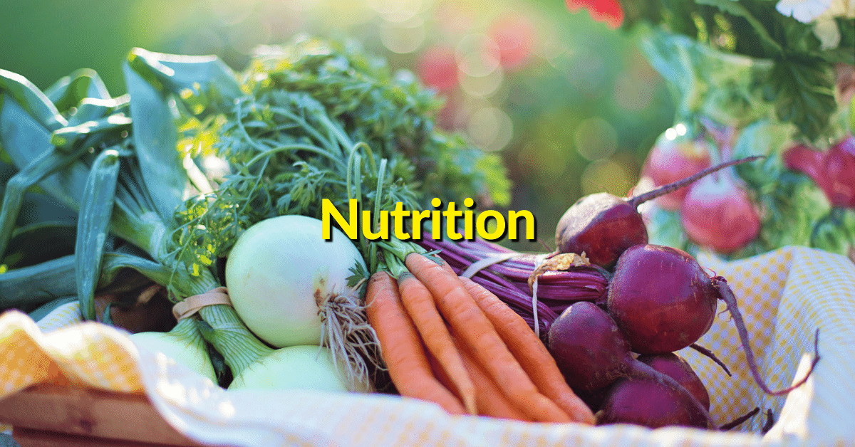 If leaky gut is suspected as the root cause for chronic illness and/or autoimmune disorders dietary interventions like an anti inflammatory diet can help treat symptoms and get to the root cause and help balance gut bacteria.