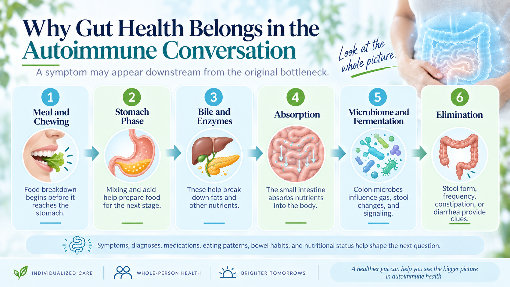 Digestive process from meal to elimination