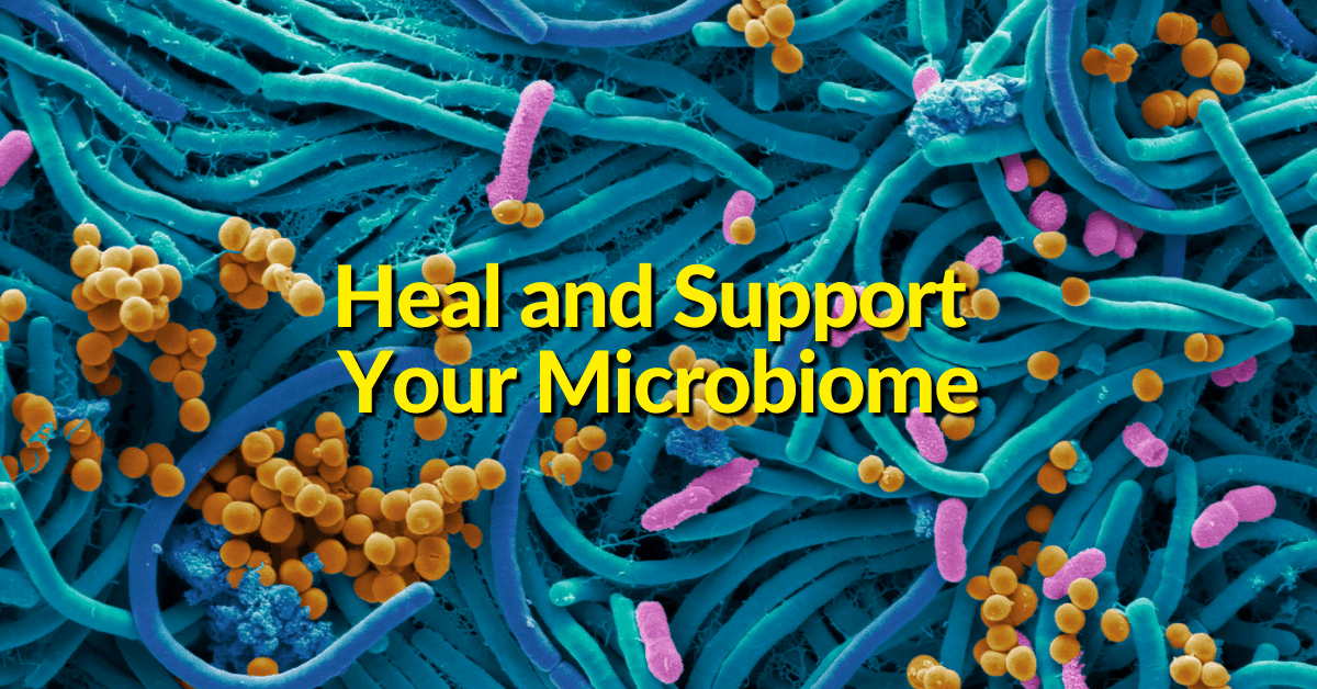 Most bacteria are beneficial and vital to your health, such as probiotics. Probiotics are the live, good bacteria that reside within your gut and absorb nutrients to support your immune system. Digestive problems are directly linked to the health of your microbiome. 