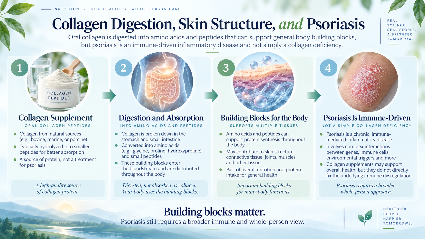 Diagram showing collagen peptides digested into amino acids and the distinction between skin structure and psoriasis inflammation