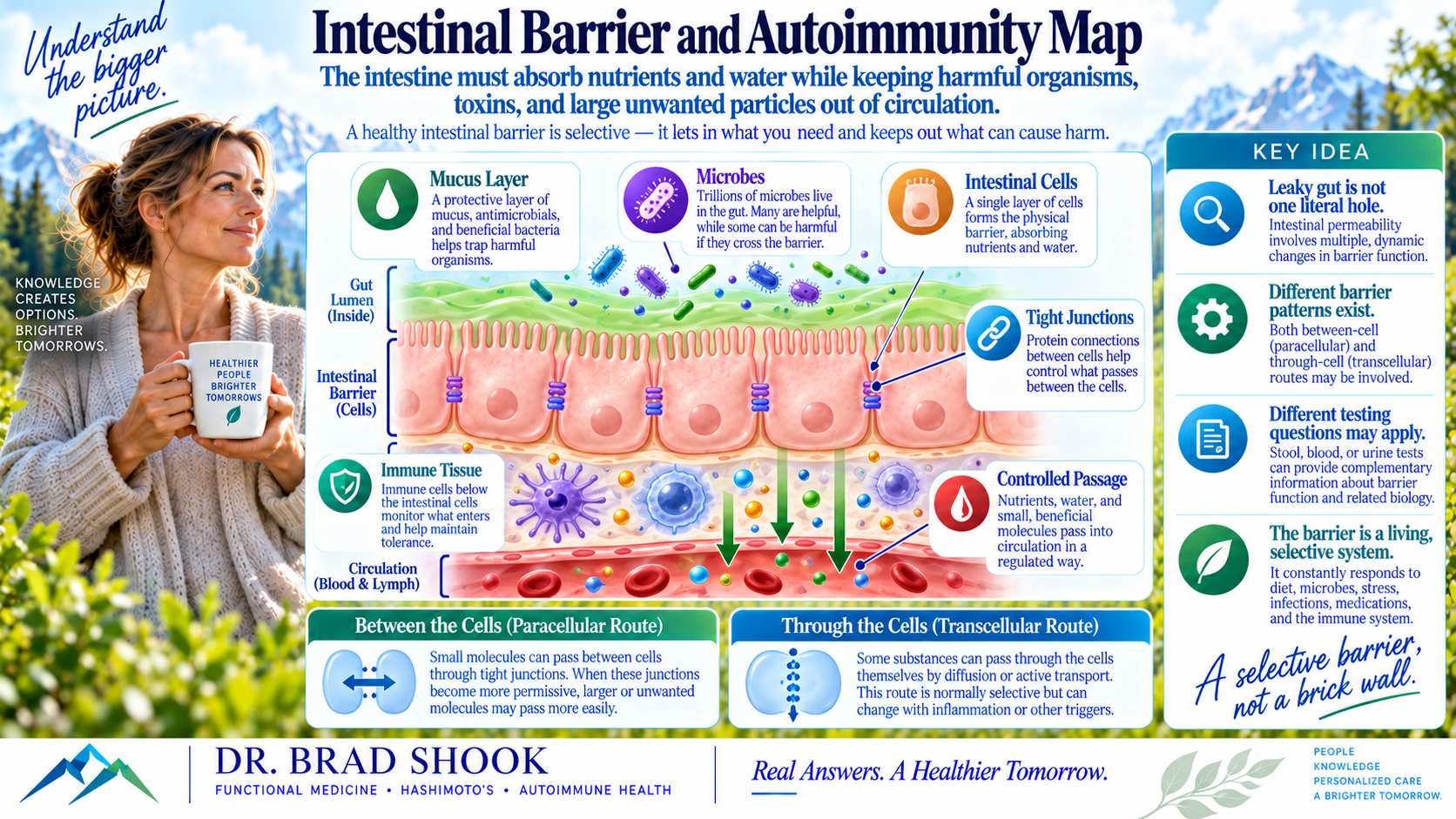 Intestinal barrier map showing mucus, intestinal cells, tight junctions, immune tissue and controlled passage into circulation