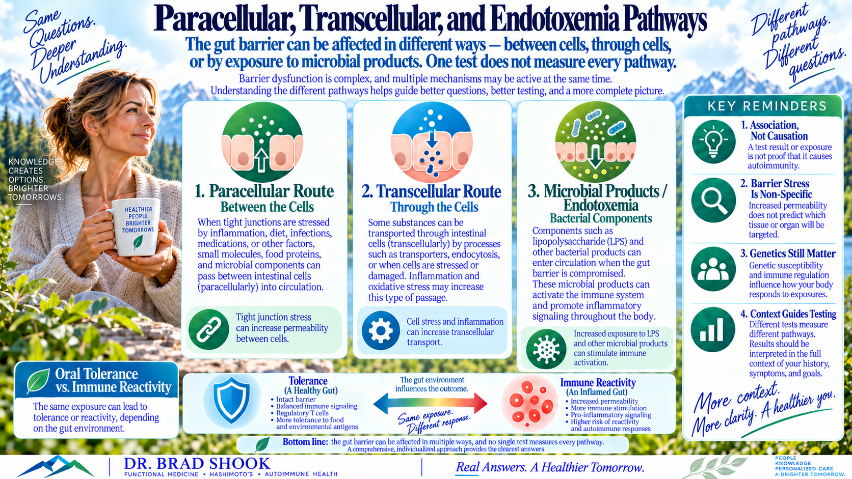 Three intestinal barrier patterns showing passage between cells, passage through cells and bacterial product movement into circulation
