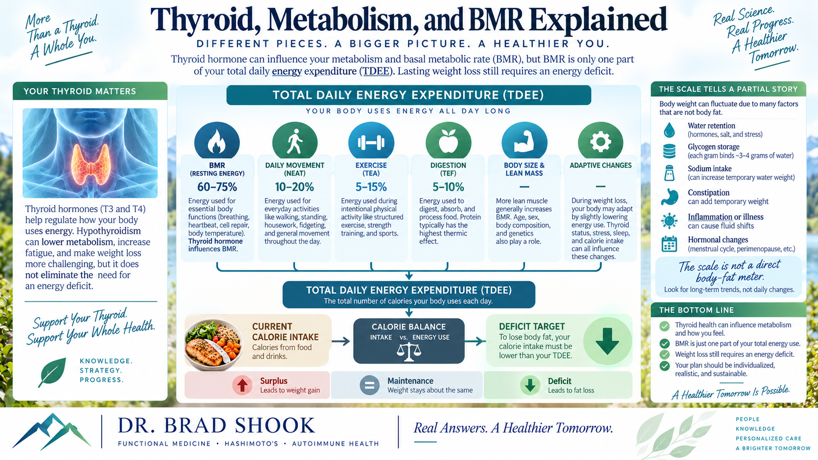 Diagram explaining thyroid hormone, basal metabolic rate, fluid change, and total energy balance